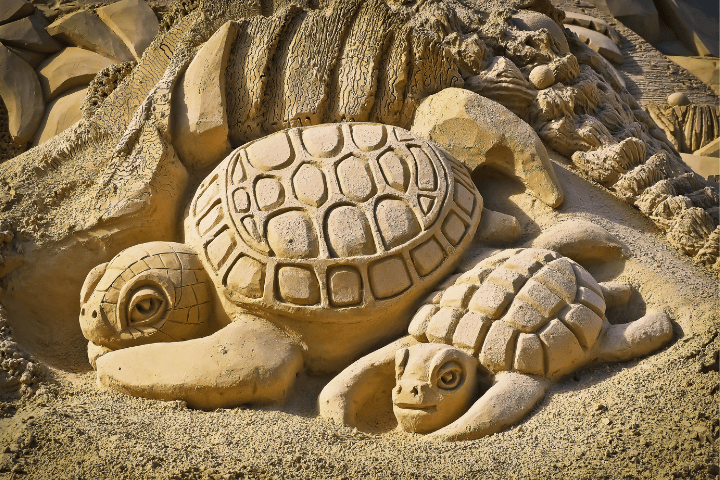 Things To Do https://nestvacationrentals.icnd-cdn.com/images/thingstodo/isle of palms sand sculpting.png